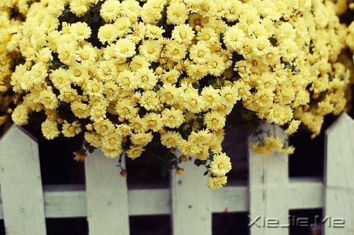 晚安心语:在途中,认清自己 (3)