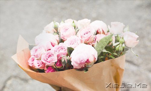 早安心语:如果时间可以倒退,一切也就不再珍贵 (1)