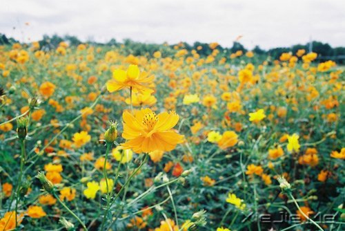 做一个微笑挂在嘴边,快乐放在心上的人 (6)