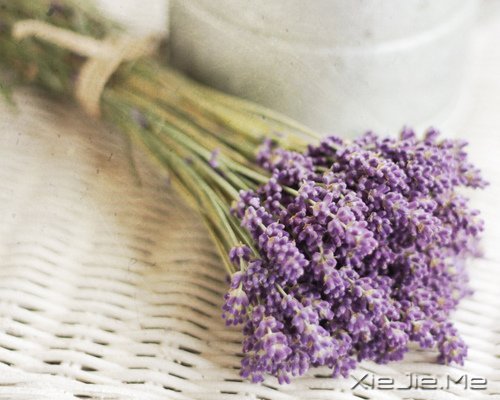 晚安心语:身在万物中,心在万物上 (3)