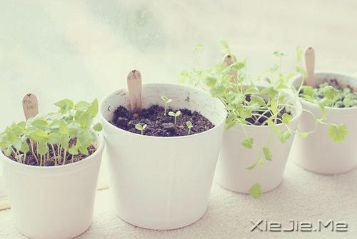 早安心语:看清自己比读懂他人,更重要 (10)