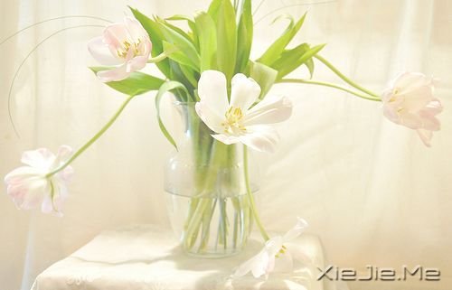 早安心语:你生活在别人的眼神里,就迷失在自己的心路上 (5)